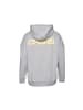 DNGRS Dangerous Hoodie "Dangerous Dngrs Launch Hoody" in Grau