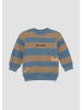s.Oliver Sweatshirt in 54A3_hellblau