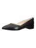 Nero Giardini Pumps in Schwarz