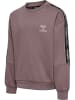 Hummel Hummel Sweatshirt Hmlshine Lebensstil Mädchen in SPARROW