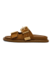 Steve Madden Pantoletten in Camel