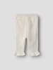 name it Hose in Turtledove1