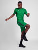 Hummel Hmlauthentic Herren in JELLY BEAN