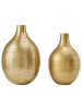 Beliani 2-tlg Blumenvase MOHENJO in Gold