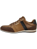 Pantofola D'Oro Sneaker low Roma Uomo Low in braun