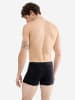 Sloggi Retro Pants SLG Base in Black