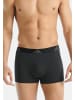 Adidas Sportswear Retro Short / Pant Active Micro Stretch Seamless in Schwarz / grau