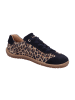 KOEL Damen- Schnürschuhe  in Braun