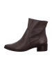 Paul Green Klassische Stiefeletten in Braun