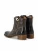 Cashott Stiefeletten CASVILMA in Coffee