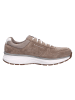 Joya Schnürschuh DYNAMO CLASSIC M LIGHT BROWN in braun