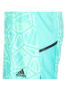 adidas Performance Trainingsshorts Condivo 22 in türkis