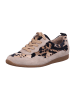 Paul Green Schnürschuh in Beige