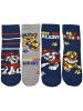 Paw Patrol 7er Pack Paw Patrol Socken Sneaker Kindersocken Söckchen in blau/grau