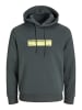 JACK & JONES Junior Kapuzenpullover in Urban Chic