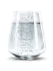Mr. & Mrs. Panda Trinkglas Fuchs Sänger ohne Spruch in Transparent
