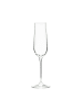 Butlers Sektglas 180ml SANTÉ in Transparent