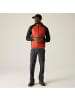 Regatta Travel Light Cargohose / Zip Off Pant Insektenabweisend in Ash