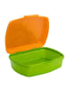 T-REX WORLD Kinder Brotdose Lunchbox Pausenbox Schulbrotbox
