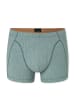 Schiesser Shorts in Grün