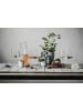 Zwiesel Glas 2er Set Sektgläser Vivid Senses in Transparent 388 ml in transparent