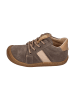 KOEL Sneaker Low BLAKE SUEDE in braun