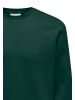Only&Sons Sweatshirt 'Ceres' in grün