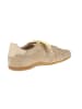 Gant Sneaker low Sperly in Beige