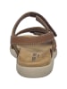Josef Seibel Juliet 01 in cognac