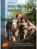 Ulmer Sachbuch - Dein Hund braucht dich!