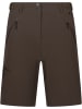 DLX Short "Jocelyn Shorts" in Braun