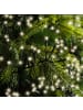 LUMINEO Lichterkette CLUSTER 768 LED 7 m, schwarzes Kabel in warm weiß