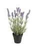 IB Laursen Künstliche Lavendelpflanze in Topf in lavendel