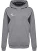 Hummel Hummel Hoodie Hmlauthentic Multisport Unisex Kinder Atmungsaktiv Feuchtigkeitsabsorbierenden in GREY MELANGE