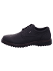 Josef Seibel Herrenschnürschuhe halb sportlicher Boden TEX  in  Schwarz