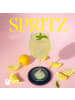 Thorbecke Buch - Spritz