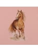 Walkiddy T-Shirt Graceful Horses in pink