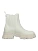 Steve Madden Stiefelette in Bone