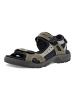 Ecco Sandalen in Grün