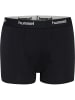 Hummel Boxer Hmljr Nalle Kinder in GREY MELANGE/DRESS BLUES/BLACK