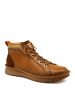 Pikolinos Schnürschuh in braun