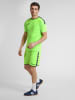 Hummel Hummel Poly Kurze Hose Hmlauthentic Multisport Herren Leichte Design Schnelltrocknend in GREEN GECKO