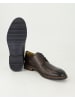 DIGEL Klassische Schnürschuhe in Braun