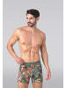 Muchachomalo 2er-Set: Boxershort in Mehrfarbig - für Herren