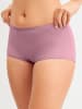 Calida Panty in lilas