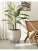 Beliani Outdoor Blumentopf BAIYUN in Beige - (W) 42 x (H) 42 x (L) 42 cm