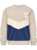 Hummel Sweatshirt Hmlskye Sweatshirt in SILVER LINING