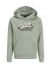 JACK & JONES Junior Hoodie 'JJELOGO' in hellgrün