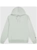Champion Hooded Sweatshirt in Schilf121