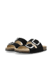 Bianco Pantolette in Black